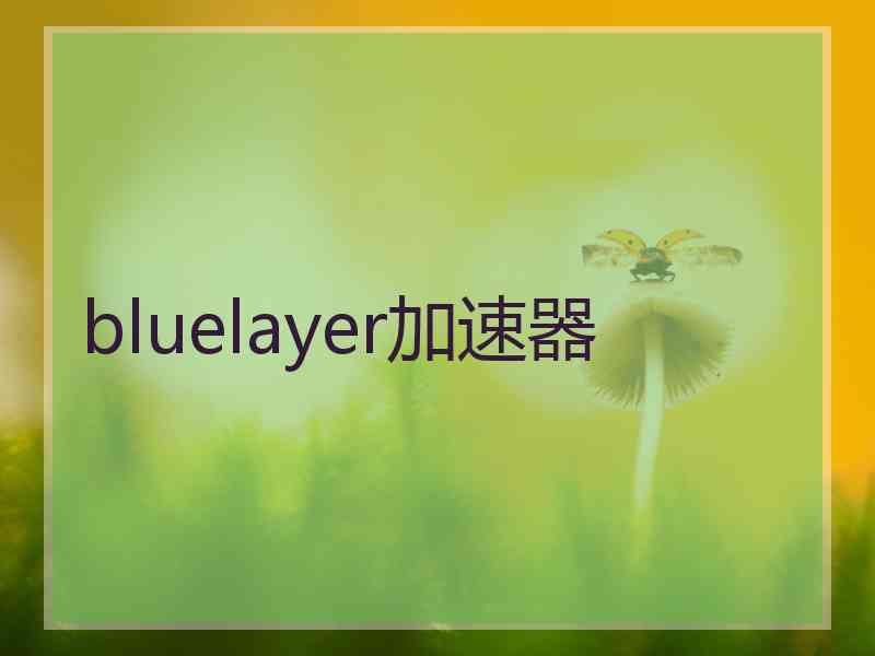 bluelayer加速器