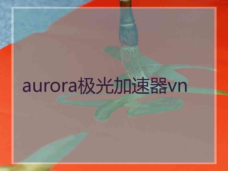 aurora极光加速器vn