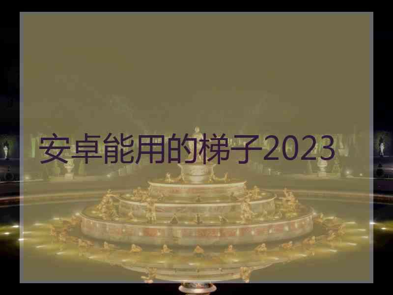 安卓能用的梯子2023