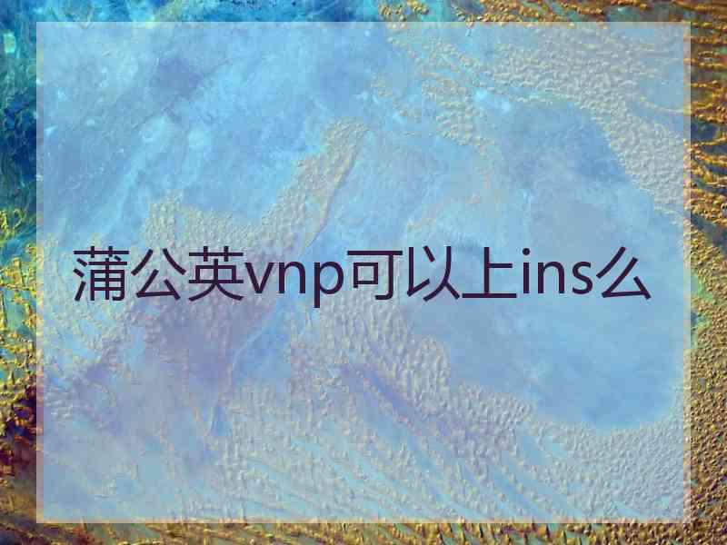 蒲公英vnp可以上ins么