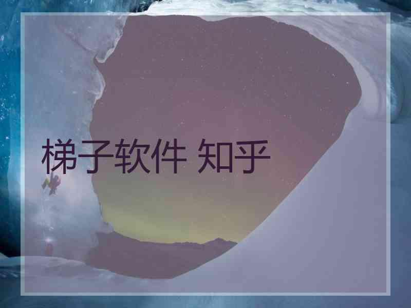 梯子软件 知乎