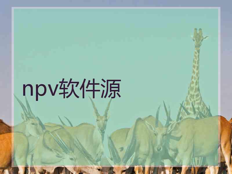 npv软件源