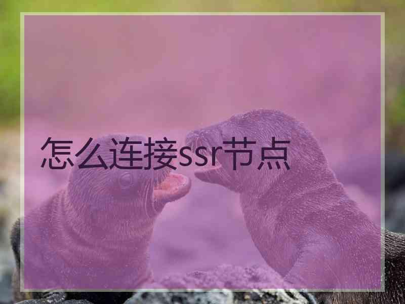 怎么连接ssr节点