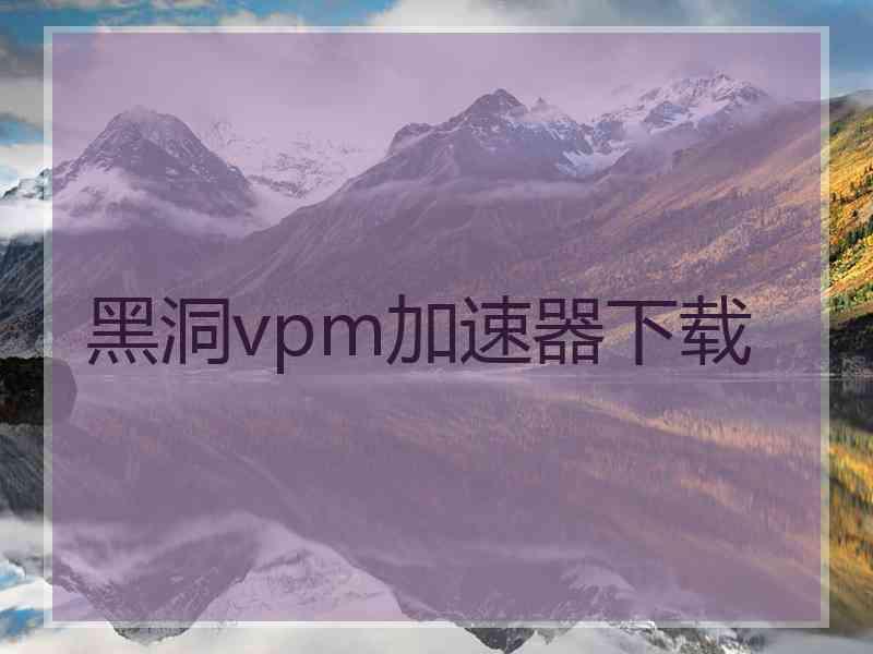 黑洞vpm加速器下载