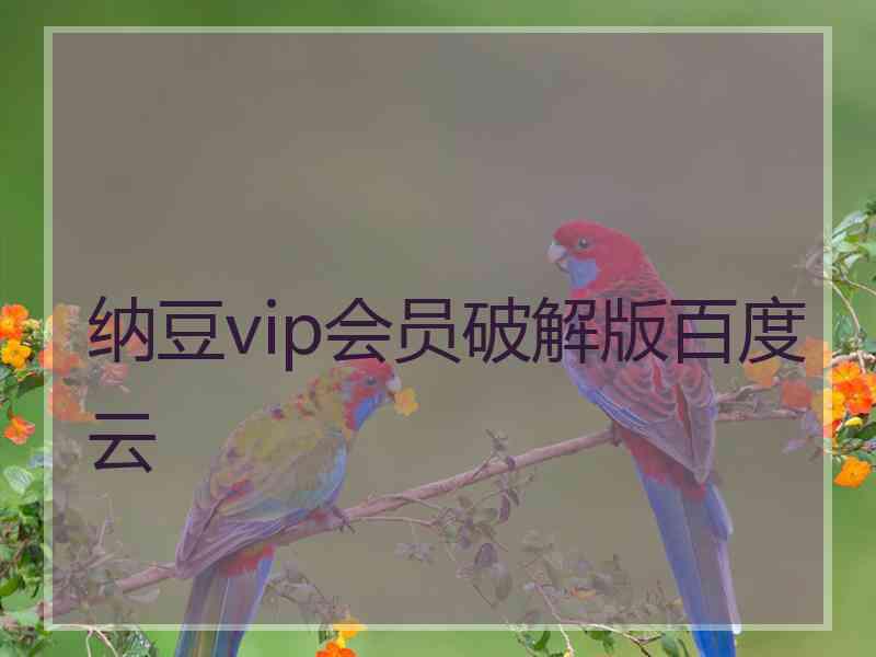 纳豆vip会员破解版百度云