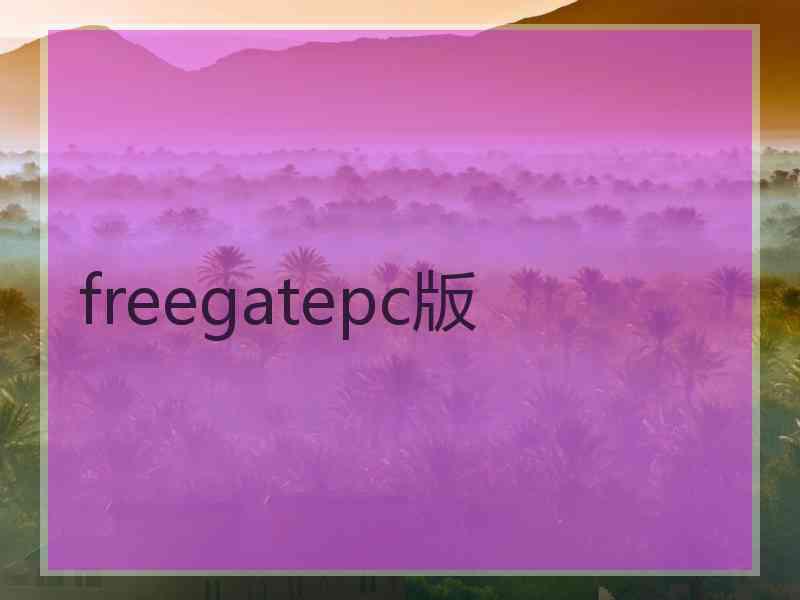 freegatepc版