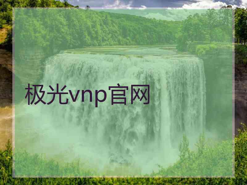 极光vnp官网