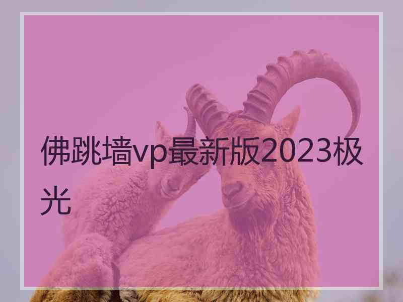 佛跳墙vp最新版2023极光