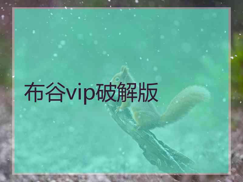 布谷vip破解版