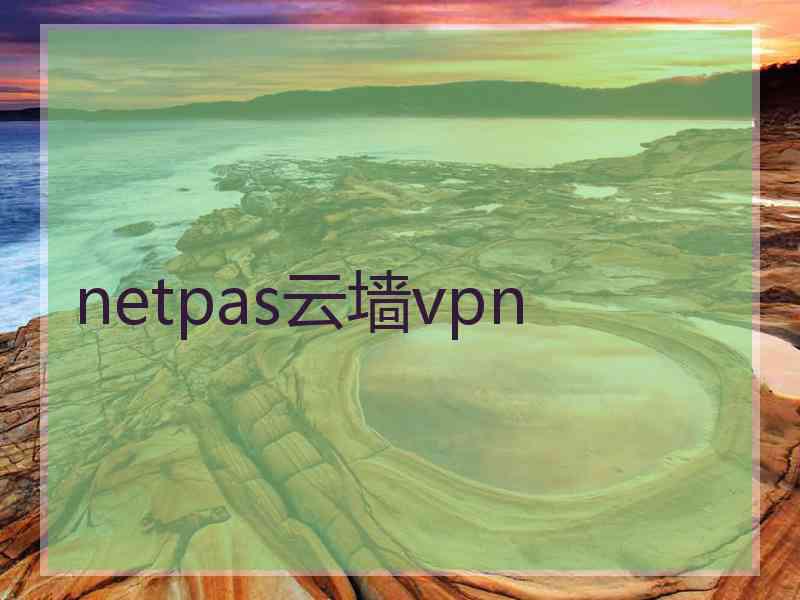 netpas云墙vpn