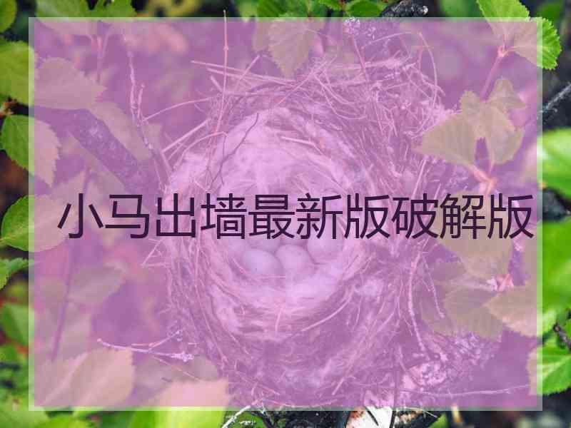 小马出墙最新版破解版