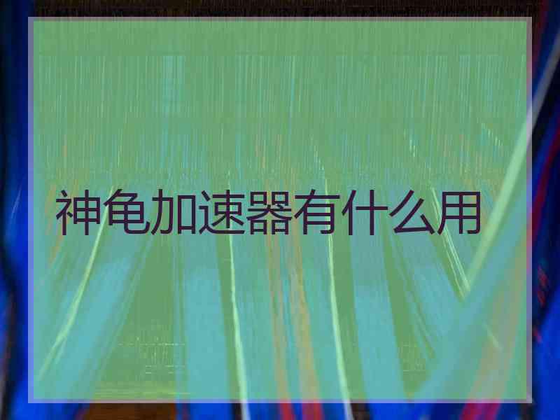 神龟加速器有什么用