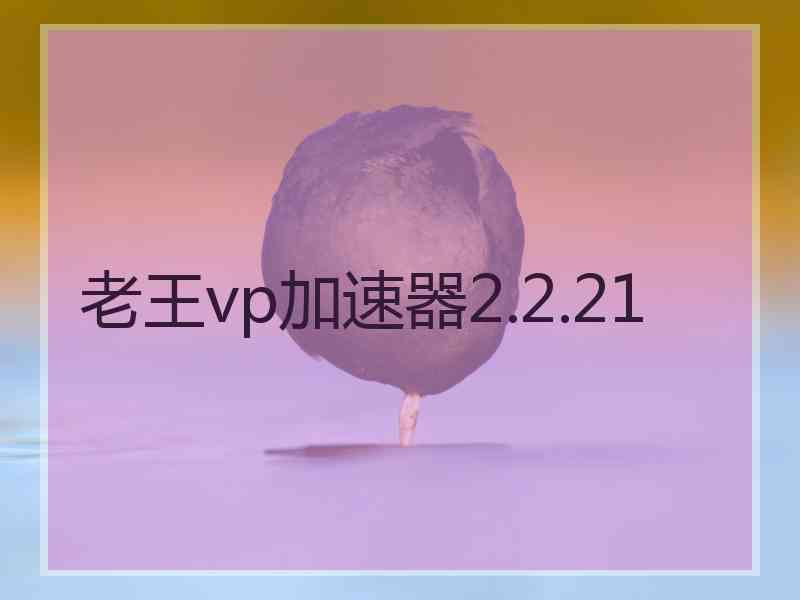 老王vp加速器2.2.21