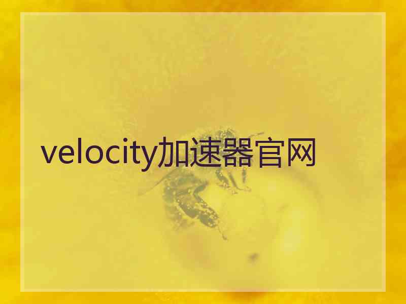 velocity加速器官网