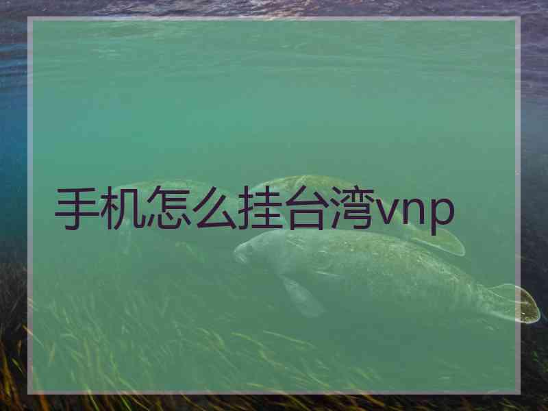 手机怎么挂台湾vnp