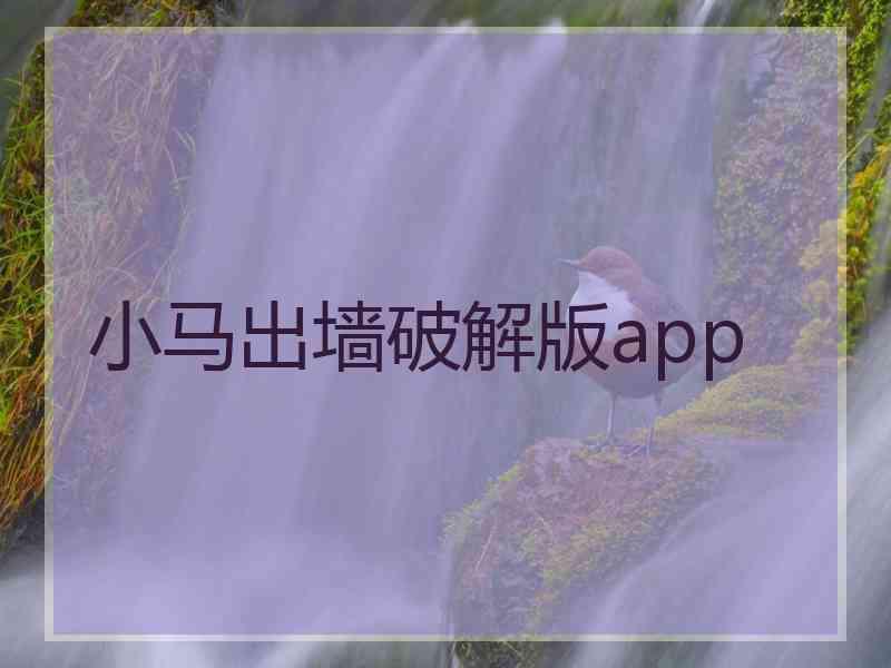 小马出墙破解版app