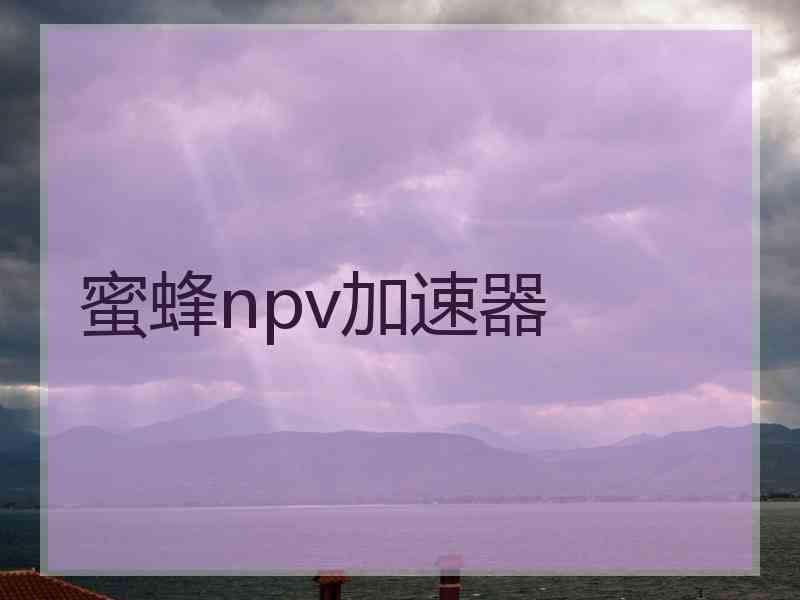 蜜蜂npv加速器