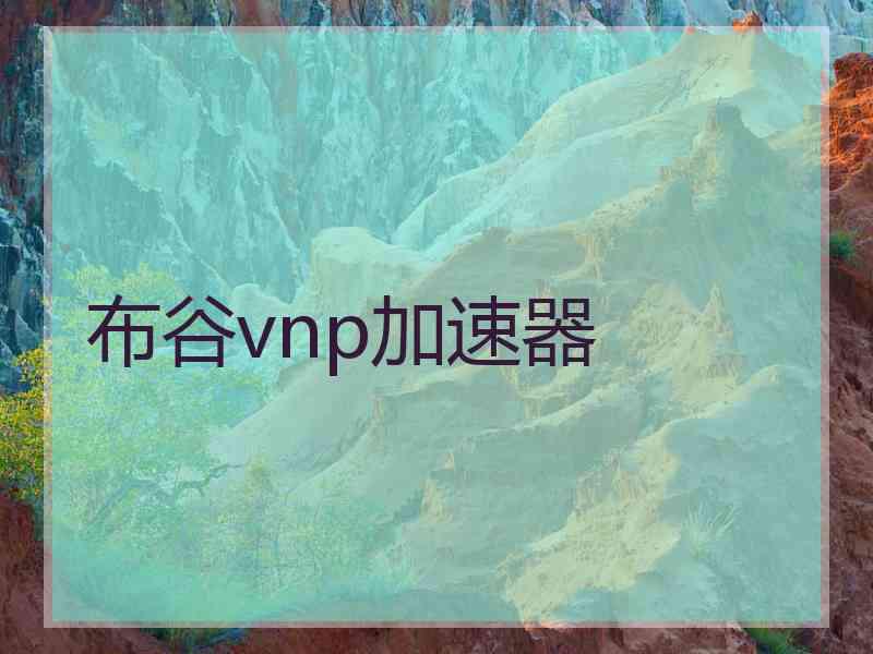 布谷vnp加速器