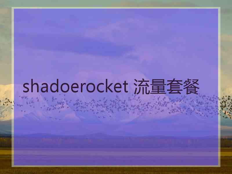 shadoerocket 流量套餐