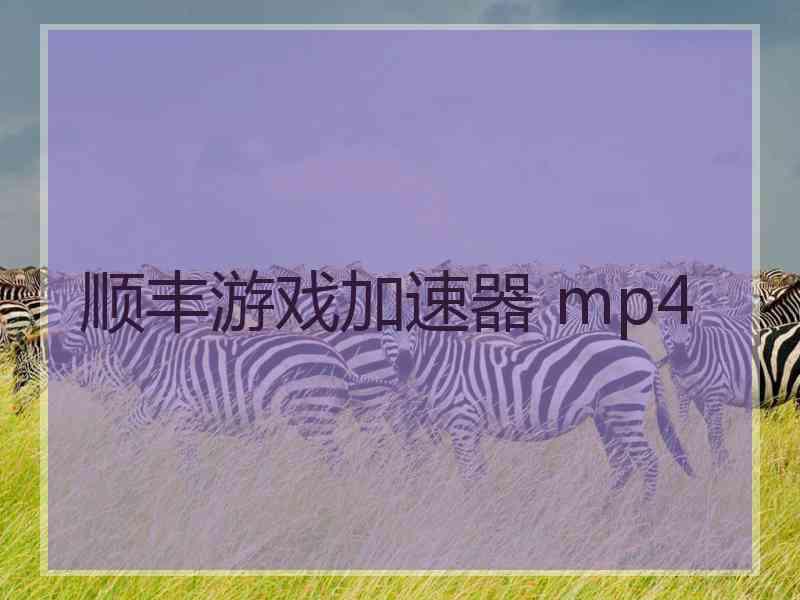 顺丰游戏加速器 mp4