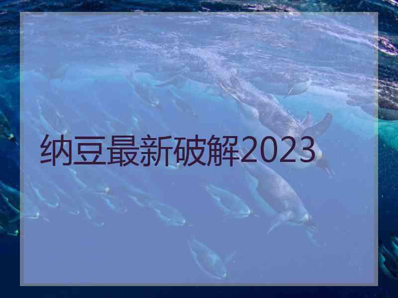 纳豆最新破解2023