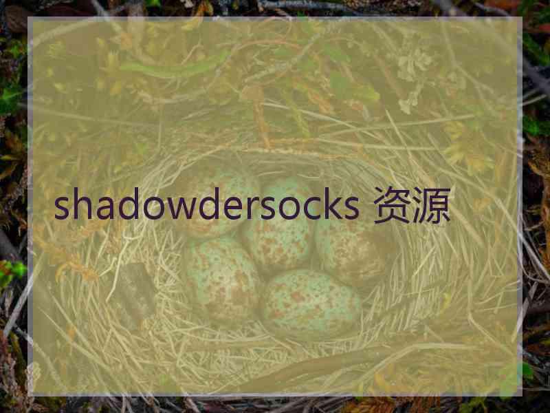 shadowdersocks 资源