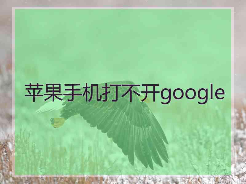 苹果手机打不开google