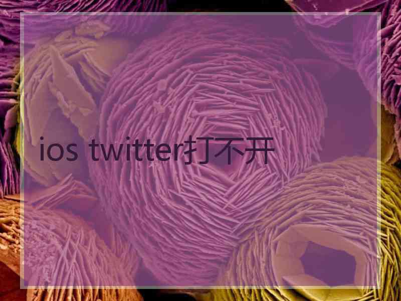 ios twitter打不开