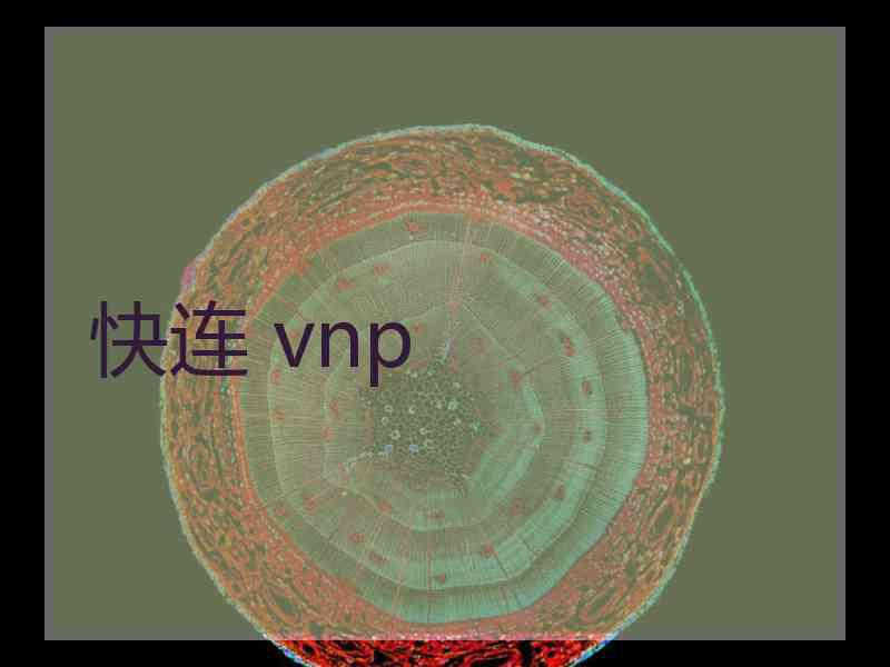 快连 vnp