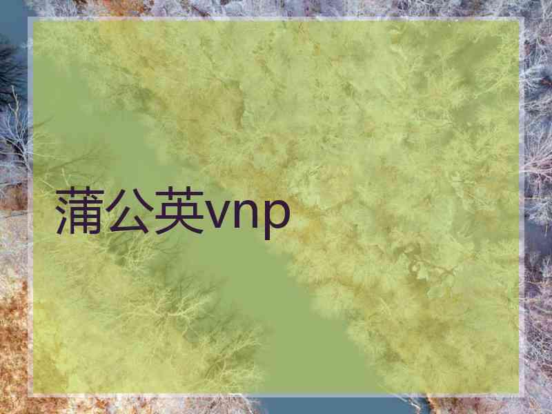 蒲公英vnp