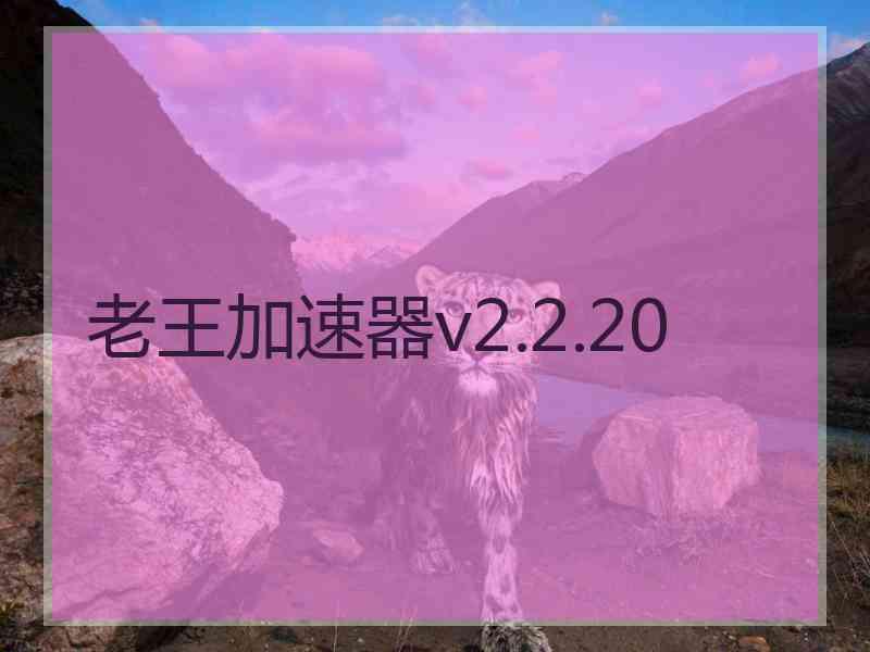 老王加速器v2.2.20