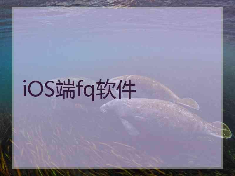 iOS端fq软件