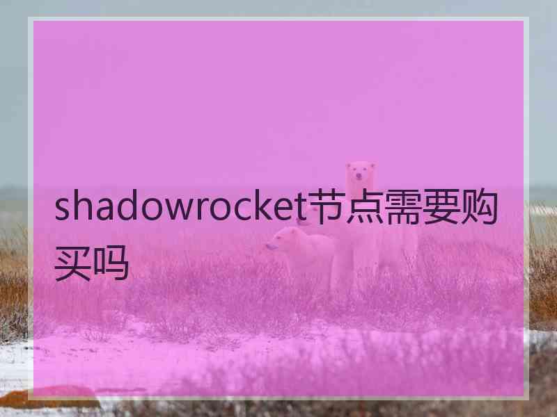 shadowrocket节点需要购买吗