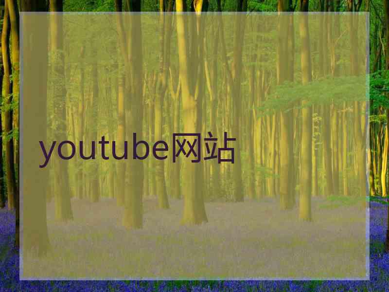 youtube网站