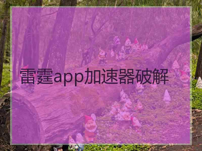 雷霆app加速器破解