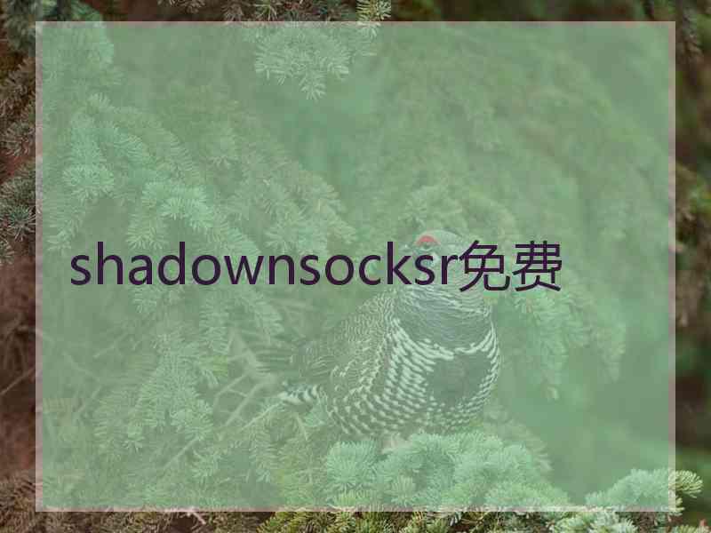 shadownsocksr免费