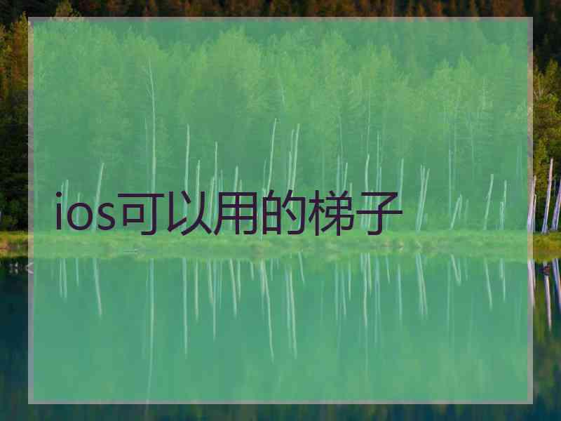 ios可以用的梯子