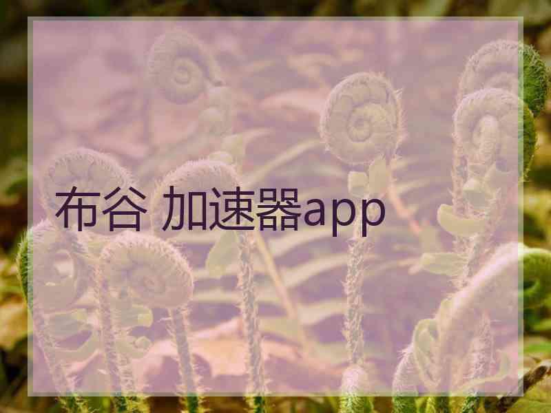 布谷 加速器app