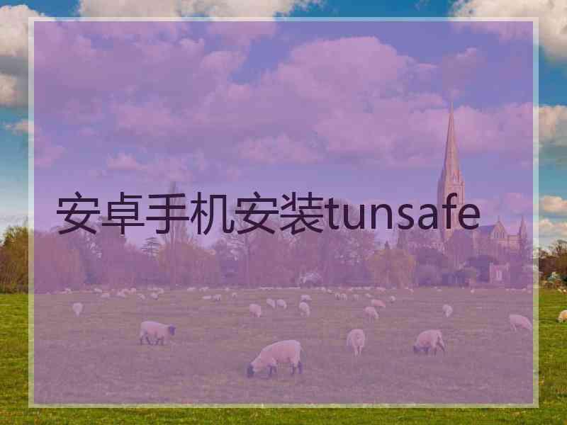 安卓手机安装tunsafe