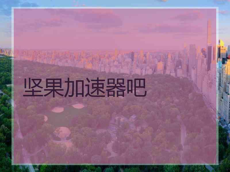 坚果加速器吧