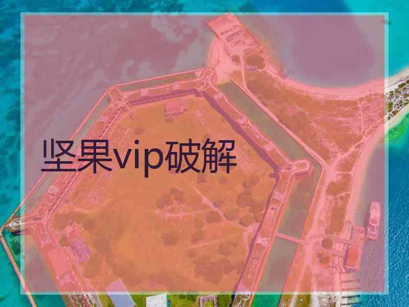 坚果vip破解