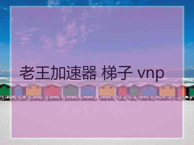 老王加速器 梯子 vnp