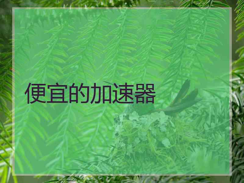 便宜的加速器