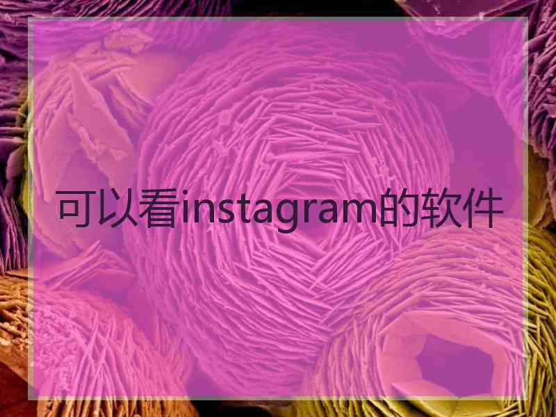 可以看instagram的软件