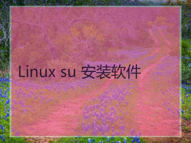 Linux su 安装软件