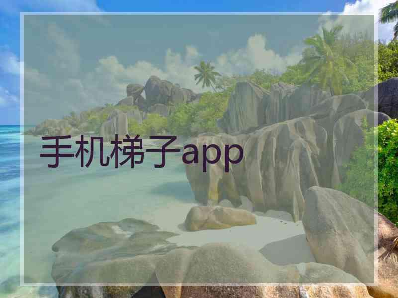 手机梯子app