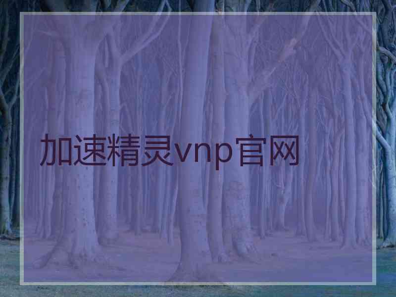 加速精灵vnp官网