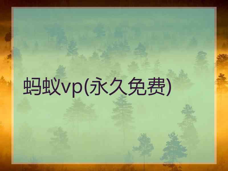 蚂蚁vp(永久免费)