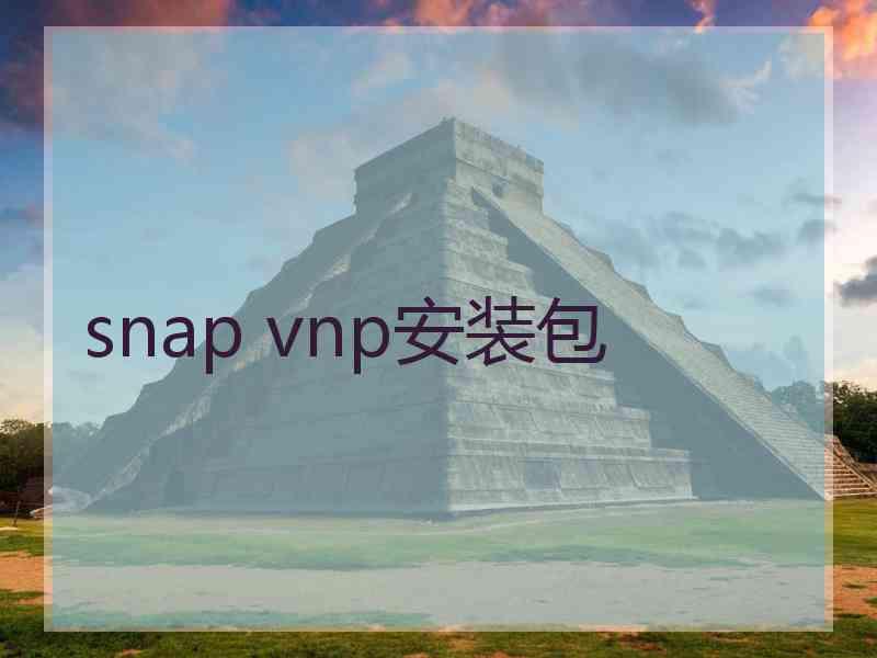 snap vnp安装包