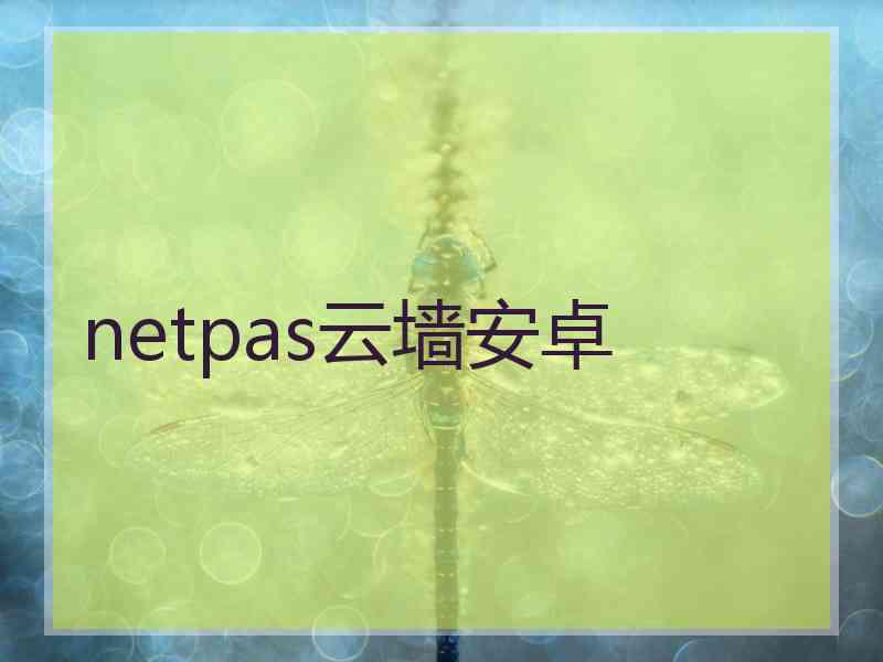 netpas云墙安卓